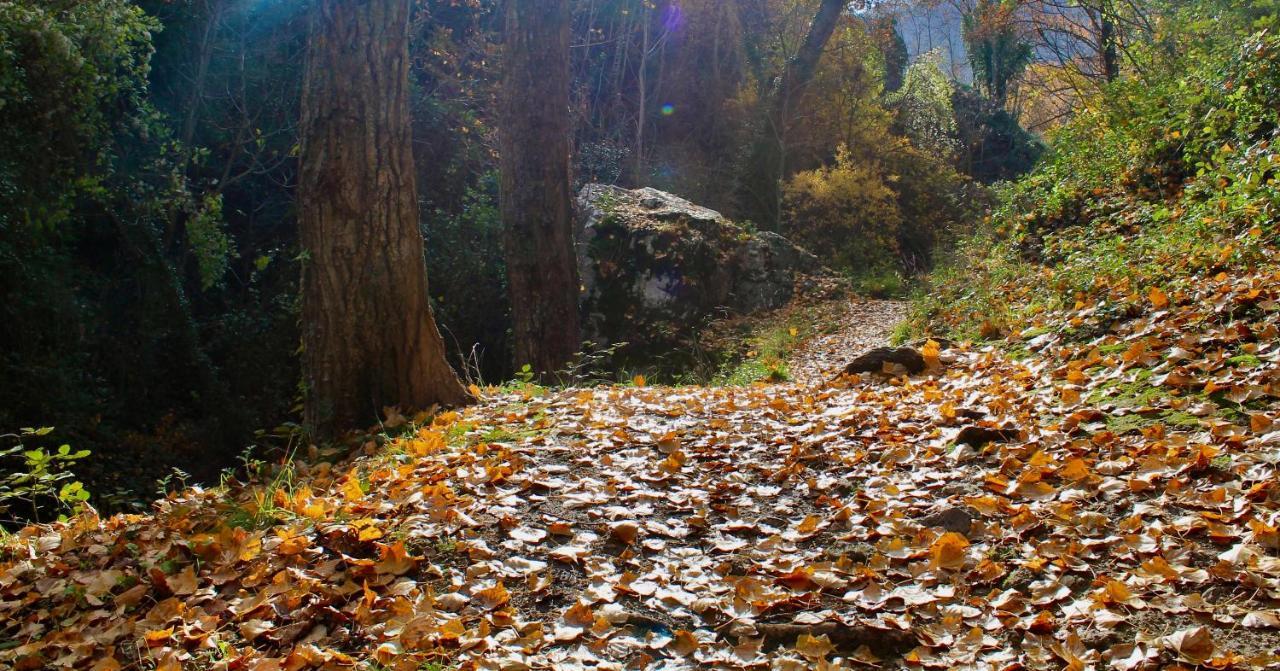 Alojamiento Rural Fuente De La Glorieta Cazorla Exteriér fotografie