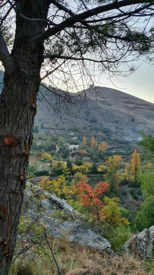 Alojamiento Rural Fuente De La Glorieta Cazorla Exteriér fotografie